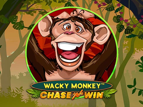 Wacky Monkey - Chase'N'Win screenshot