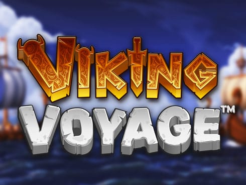Viking Voyage screenshot